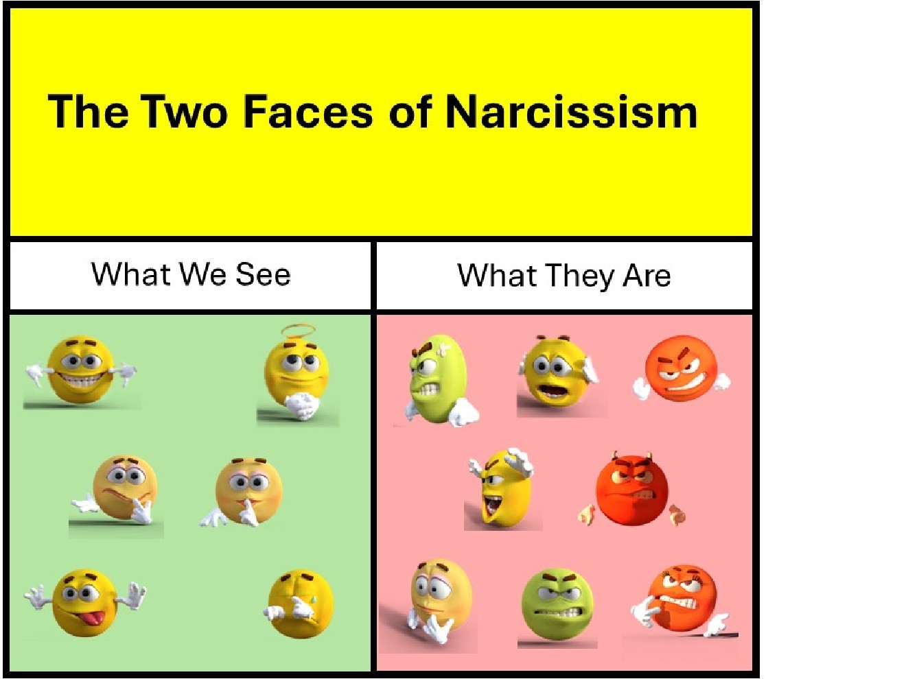 Narcissism: What You See is NOT What You Get